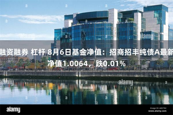 融资融券 杠杆 8月6日基金净值：招商招丰纯债A最新净值1.0064，跌0.01%