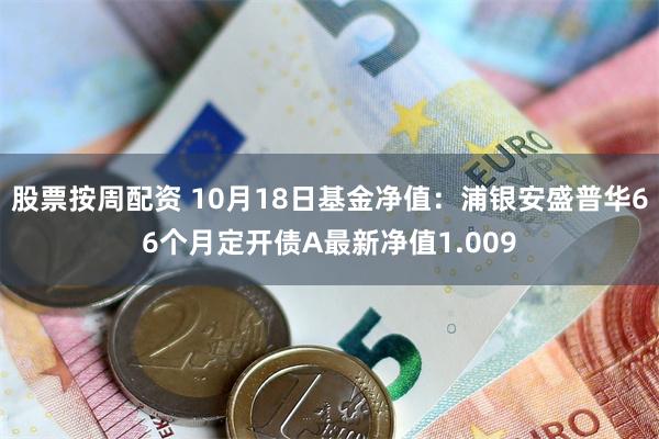 股票按周配资 10月18日基金净值：浦银安盛普华66个月定开债A最新净值1.009