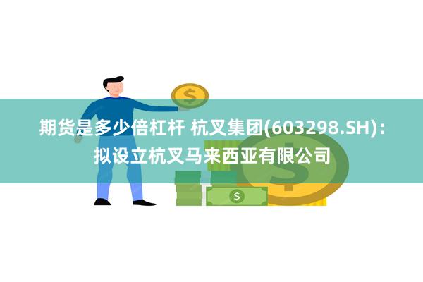 期货是多少倍杠杆 杭叉集团(603298.SH)：拟设立杭叉马来西亚有限公司