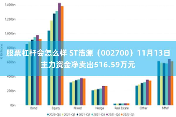 股票杠杆会怎么样 ST浩源（002700）11月13日主力资金净卖出516.59万元