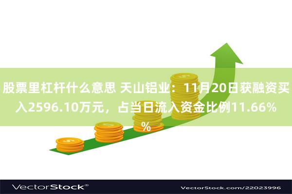 股票里杠杆什么意思 天山铝业：11月20日获融资买入2596.10万元，占当日流入资金比例11.66%