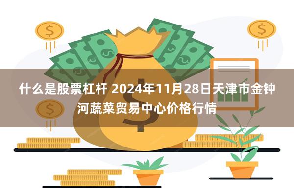 什么是股票杠杆 2024年11月28日天津市金钟河蔬菜贸易中心价格行情