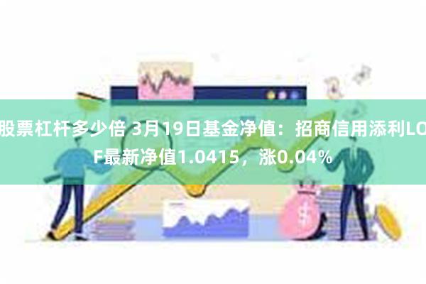 股票杠杆多少倍 3月19日基金净值：招商信用添利LOF最新净值1.0415，涨0.04%