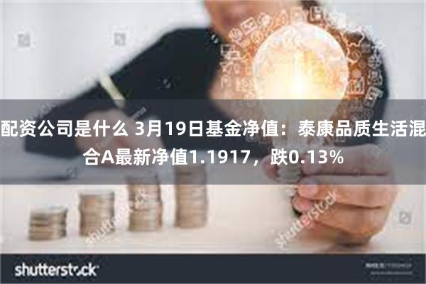 配资公司是什么 3月19日基金净值：泰康品质生活混合A最新净值1.1917，跌0.13%